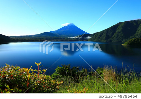 世界遺産　富士山　山梨　本栖湖　新緑 49796464