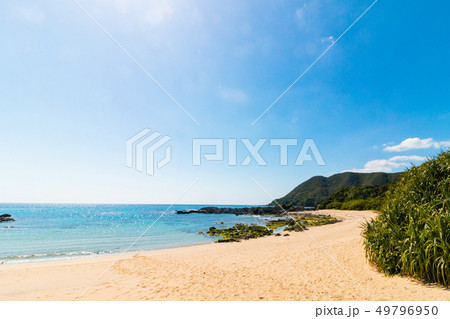奄美大島手広海岸 鹿児島県大島郡龍郷町赤尾木 49796950