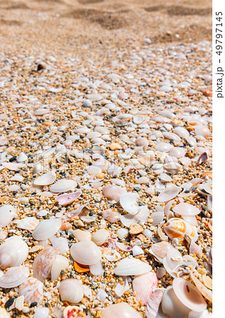 奄美大島の砂浜の貝殻 鹿児島県大島郡龍郷町赤尾木 手広海岸 49797145