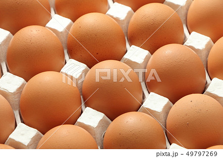 鶏卵(赤玉)。 49797269