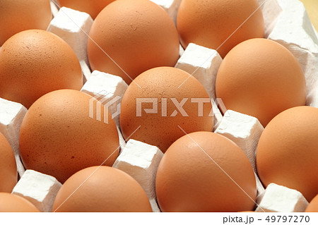 鶏卵(赤玉)。 鶏卵(赤玉)。 49797270