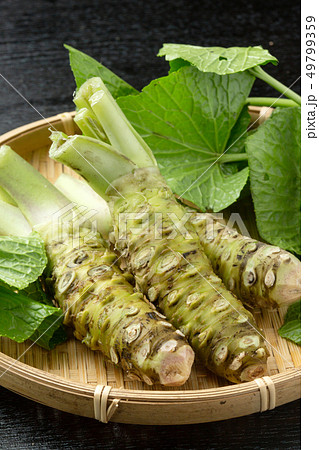 生わさび 49799359