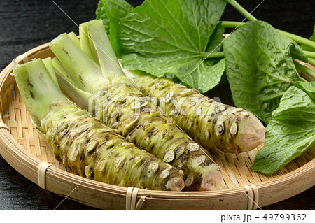 生わさび 49799362