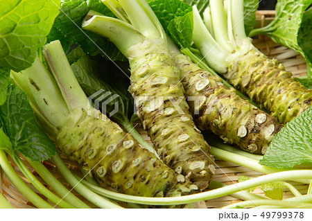 生わさび 49799378