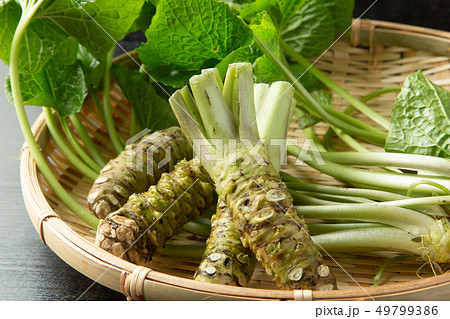 生わさび 49799386