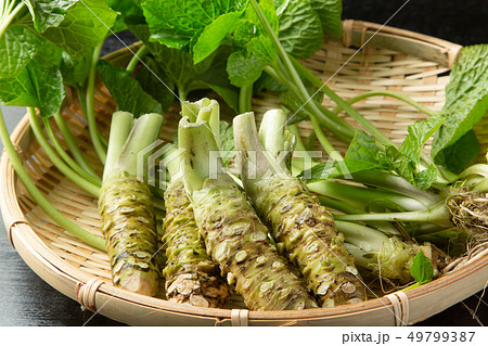 生わさび 49799387