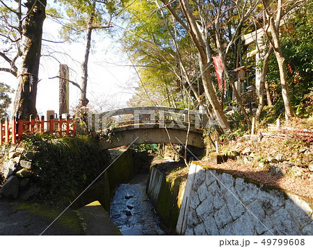 京都　哲学の道　熊野若王子神社 49799608