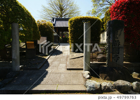 横浜 勝国寺 横浜 勝国寺 49799763