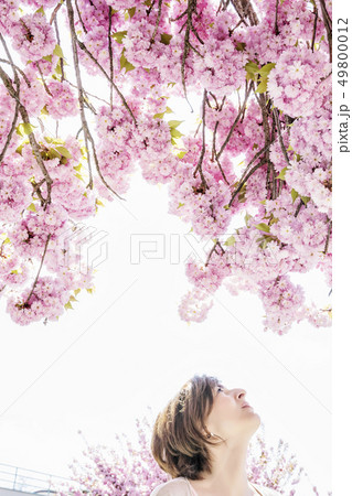 Young woman with sakura flowers 49800012