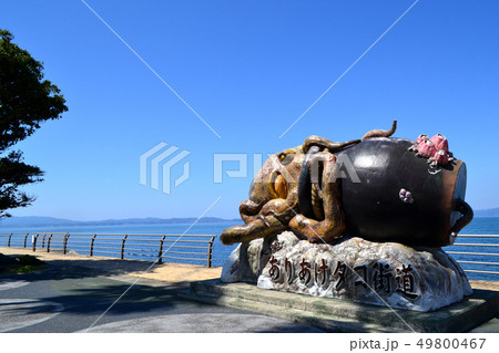 天草　タコ街道周辺の景観 49800467