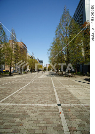 横浜大通り公園 横浜大通り公園 49800686