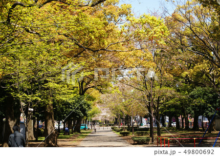 横浜大通り公園 49800692