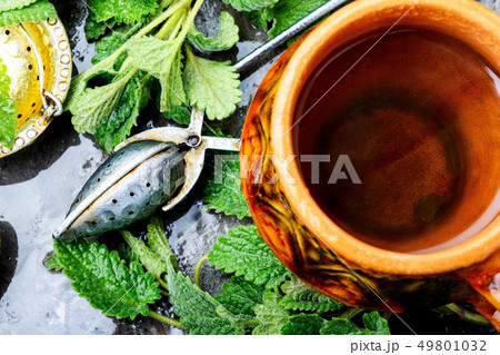 Tea with green fresh melissa leaves Tea with green fresh melissa leaves 49801032