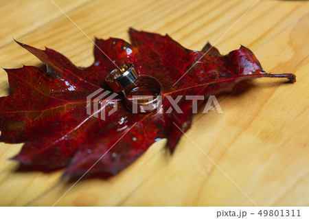 Wedding rings on red leaves with white wood Wedding rings on red leaves with white wood 49801311