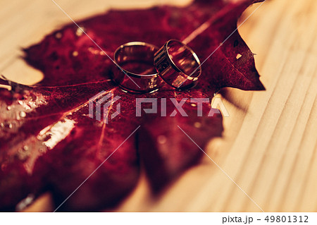 Wedding rings on red leaves with white wood Wedding rings on red leaves with white wood 49801312