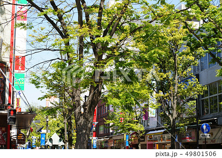 イセザキ・モール イセザキ・モール 49801506