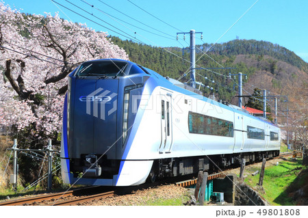 富士回遊号と満開の桜。 49801808