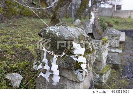 梅園身代わり天満宮の撫牛 49801932