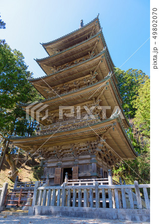 善寳寺の五重塔 49802070