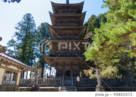 善寳寺の五重塔 49802072