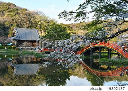 お寺 49802187