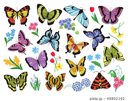 Colored butterflies. Hand drawn simple collection of butterflies and flowers isolated on white 49802192