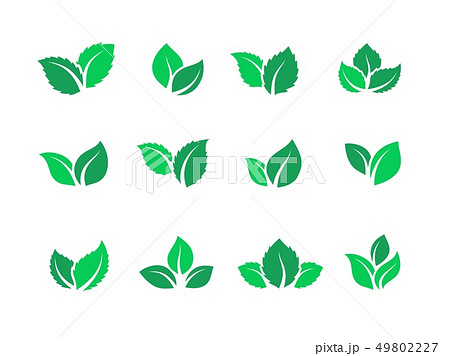 Flat leaves set. Vegan green food logos, farm plant eco energy, simple forest leaf herbal tea label 49802227
