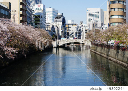 大岡川沿い 49802244