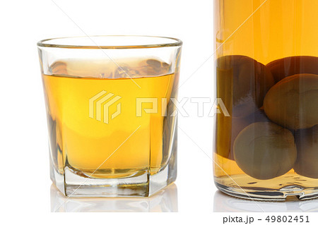 梅酒 お酒 梅酒 お酒 49802451