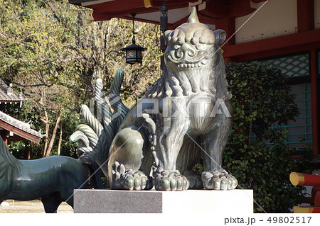 西宮神社 狛犬 49802517