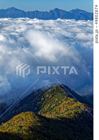 朝の八ヶ岳連峰・前三ツ頭から雲海と南アルプスの山並み 49802674