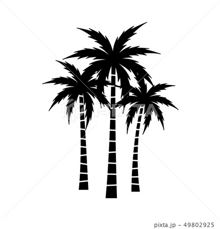 Palm Tree Vector Set 49802925