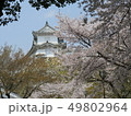 桜に包まれて 49802964