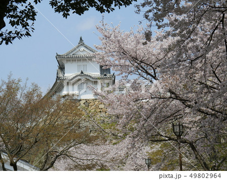 桜に包まれて 桜に包まれて 49802964