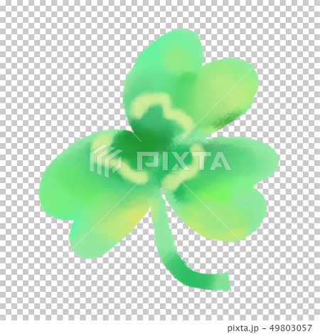 三つ葉のクローバーの水彩風イラスト 49803057