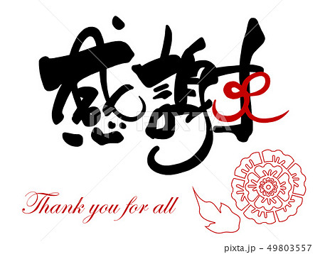 筆文字　感謝（牡丹） .n 49803557