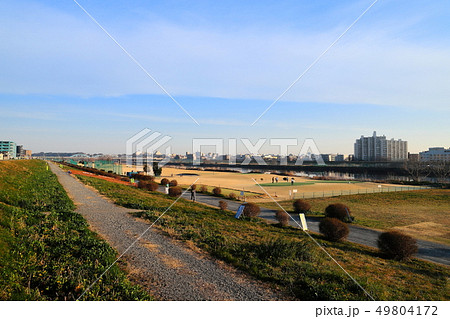 多摩川河川敷　中丸子周辺 49804172