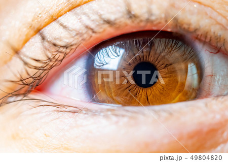 人の眼 49804820