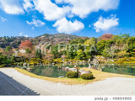 京都 天龍寺 曹源池 京都 天龍寺 曹源池 49804900