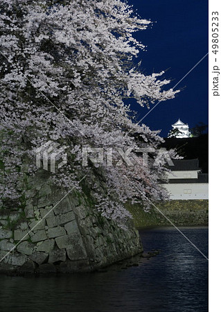 彦根城と桜の夜景 彦根城と桜の夜景 49805233