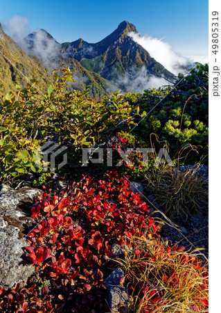 八ヶ岳連峰・三ツ頭の紅葉と赤岳の眺め 49805319
