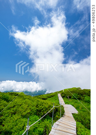 暑中見舞い　コピースペース　大山 49806253