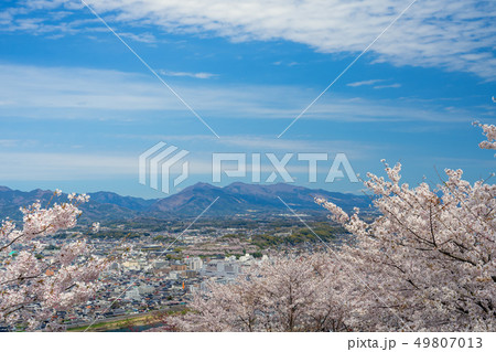 桜の名所 津山城跡 桜の名所 津山城跡 49807013