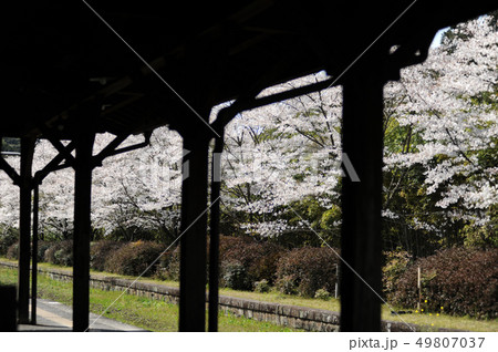 木造駅舎の春 木造駅舎の春 49807037
