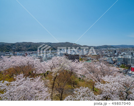 桜の名所 津山城跡 桜の名所 津山城跡 49807040