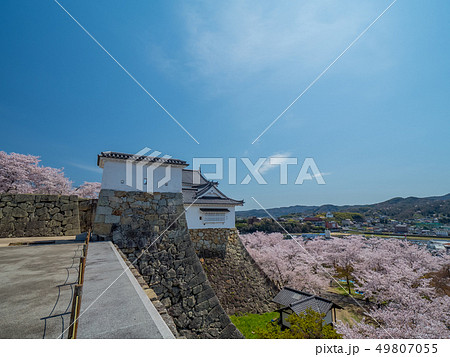桜の名所 津山城跡 桜の名所 津山城跡 49807055