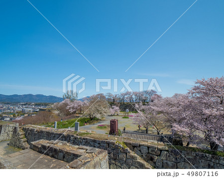 桜の名所 津山城跡 桜の名所 津山城跡 49807116