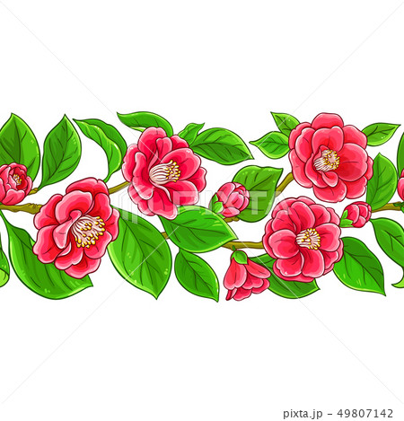 camellia vector pattern camellia vector pattern 49807142