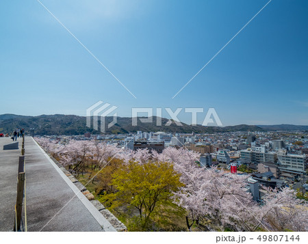 桜の名所 津山城跡 桜の名所 津山城跡 49807144