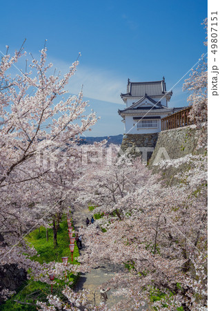 桜の名所　津山城跡 49807151